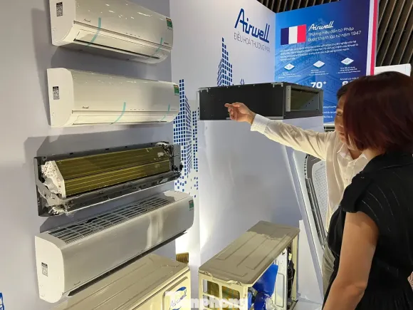 Thị trường điện lạnh Việt Nam 2026