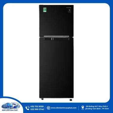 Tủ lạnh Samsung Inverter 236 lít RT22M4032BU-SV